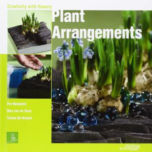 Plant-arrangements-creativity-with-flowers